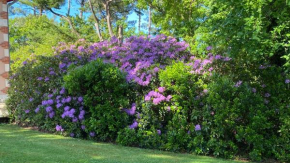 L’Oasis au milieu de la Forêt